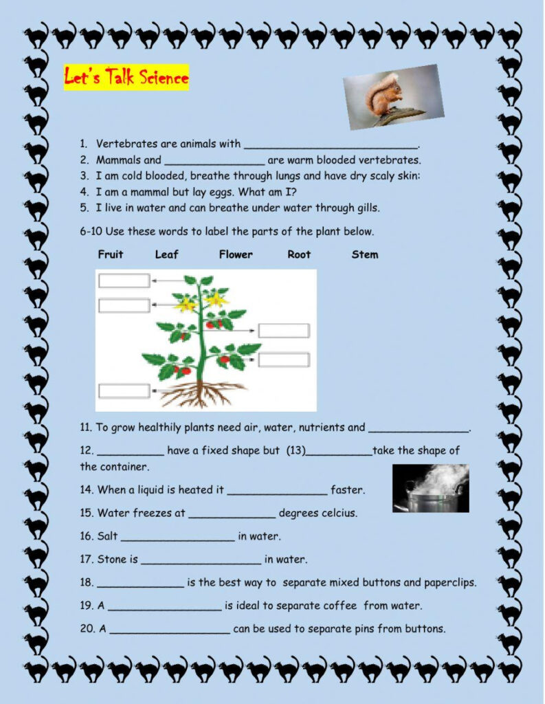Science Grade 4 Activity Worksheets Library