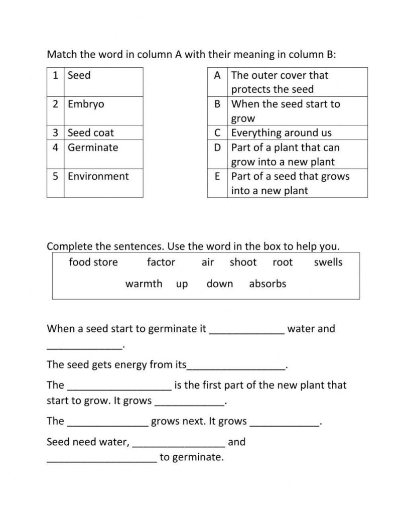 Science Review Grade 4 Worksheet Worksheets Library