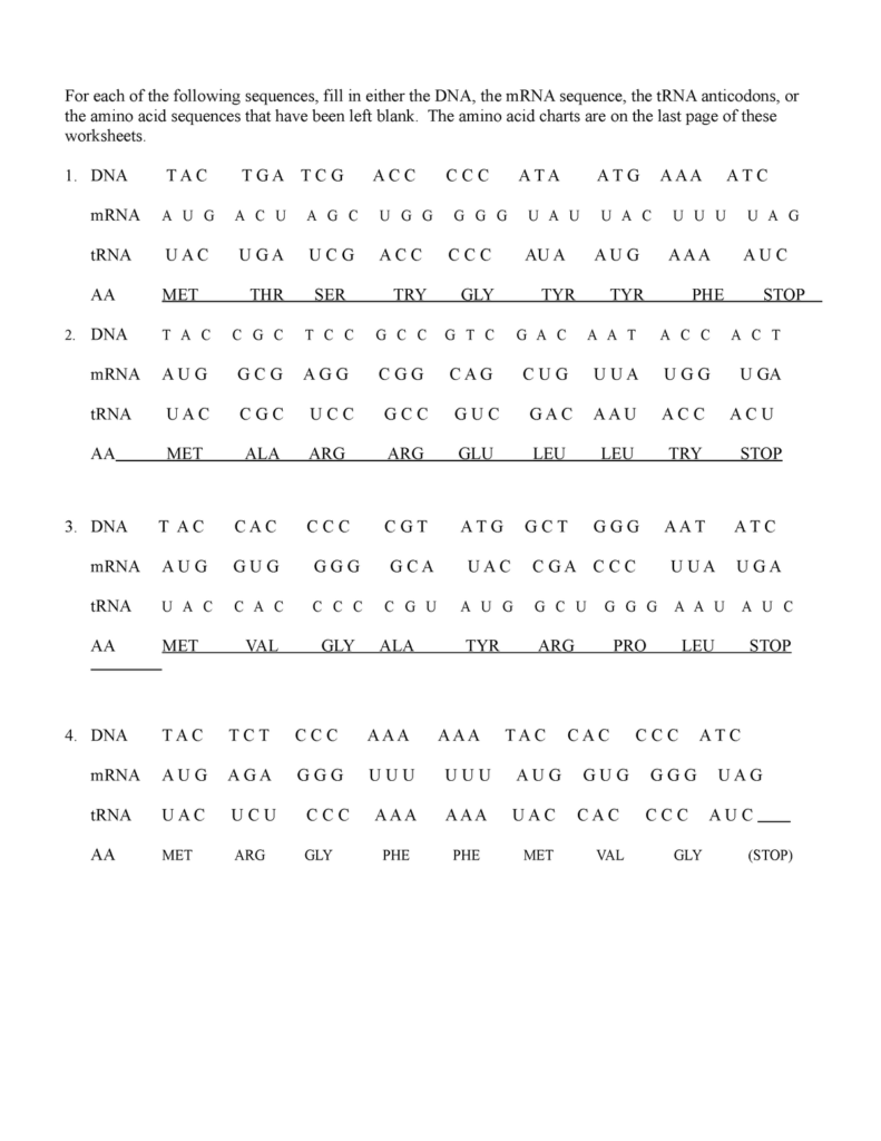 Transcription And Translation Practice For Each Of The Following Worksheets Library