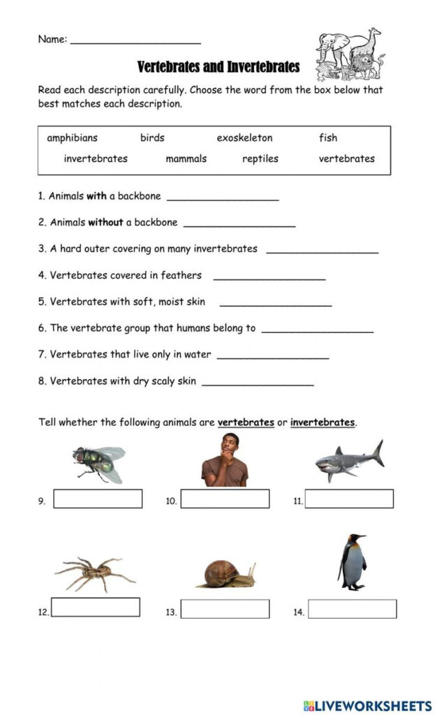 Vertebrates And Invertebrates Online Pdf Activity For 4 Vertebrates And Invertebrates Online Pdf Activity For 4